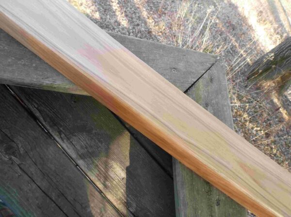 Aeolian Window Harp Nicely figured Shag-bark Hickory Wood Wild Cherry sides and Blocks Simple Vine Carving  Rustic Look 30 inch 10 Strings - Image 2